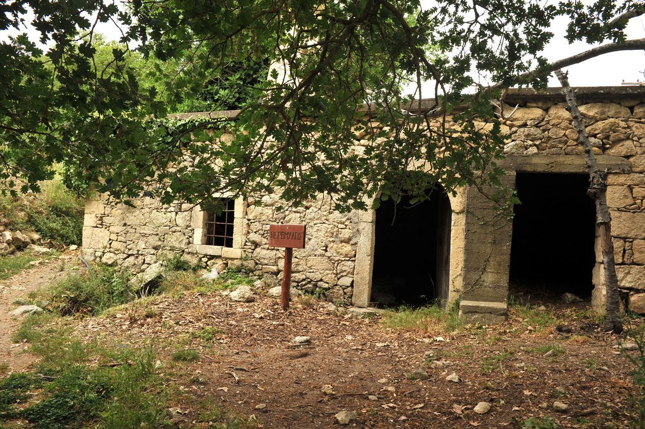 Villa Axenti Agios Thomas  Экстерьер фото